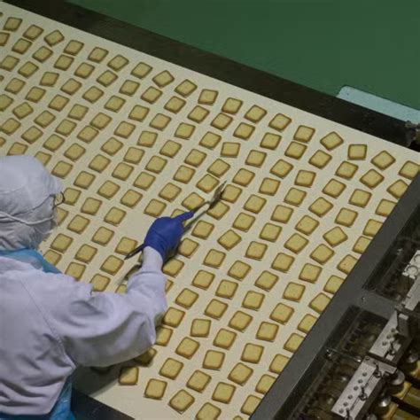 Solution de nébulisation et de brumisation, gestion .